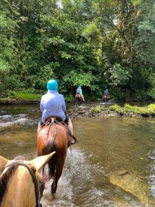un grupo de personas montando caballos a través de un río en Casita Corcovado, en Drake
