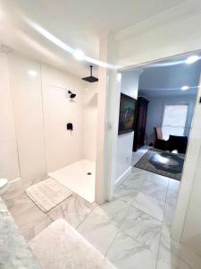 a bathroom with a walk in shower in a room at The Savannah Suite in Winona