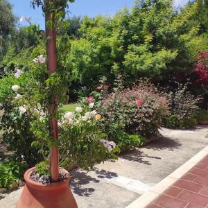 a pot with a plant in a garden with flowers at La casa di Giada, villetta indipendente con wi-fi e parcheggio gratuiti in Poggi