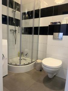 Kúpeľňa v ubytovaní Apartament Mikolowska 9