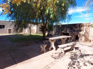 une table de pique-nique et des bancs sous un arbre dans l'établissement Posada Chaupihuasi, à Villa Unión