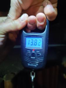 Ảnh trong thư viện ảnh của Dunaparti vendégház ở Ráckeve