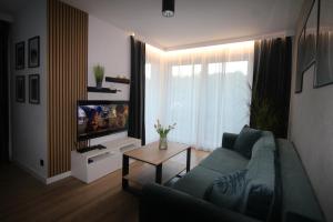 TV a/nebo společenská místnost v ubytování Apartament ARS Platinium Wisła-Spokojna