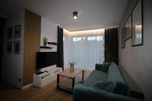 Apartament ARS Platinium Wisła في فيسلا: غرفة معيشة مع أريكة زرقاء وتلفزيون