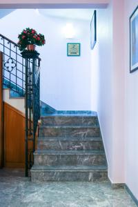 a staircase in a building with a potted plant at Hotel alla giustizia in Mestre
