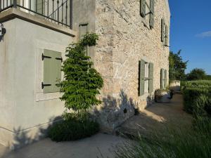 eine grüne Tür auf einem Gebäude mit einer Pflanze in der Unterkunft Stone House Rosuja in Ivanje