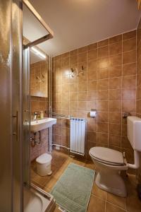 een badkamer met een toilet en een wastafel bij The farmhouse Bevsek Osep in Solčava