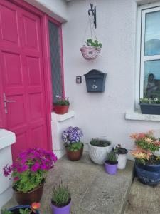 Gallery image of The Pink Door in Killala