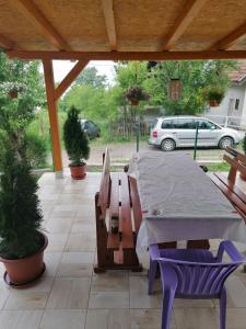 a patio with a table and chairs and a car at Vikendica Dunav i SAVA in Donji Milanovac