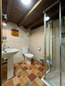 uma casa de banho com um WC, um lavatório e um chuveiro em Casa Rural El Salvijo em Monte
