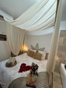 a bedroom with a canopy bed with flowers on it at l'Idylle - Coeur de Bastide - balnéo - Clim in Carcassonne +3 photos