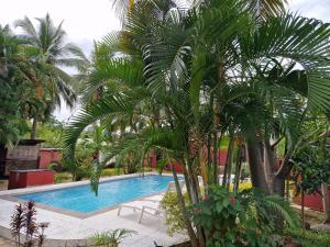 una piscina con palmeras en un patio en Bungalow Chez Mouch Nosy Be 6, en Nosy Be