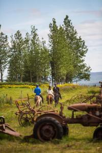 three people riding horses in a field with a tractor at Farmhotel Efstidalur in Laugarvatn