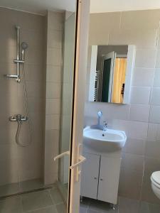 a bathroom with a sink and a shower at Casa Stoian in Costinesti +8 photos