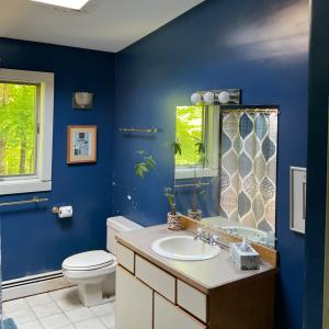 Baño azul con aseo y lavamanos en Home in the woods, 