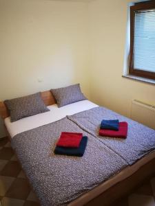 a bed with two red and blue pillows on it at Snoopy House in Žužemberk