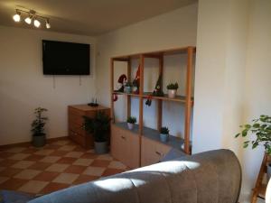 a living room with a couch and a flat screen tv at Snoopy House in Žužemberk