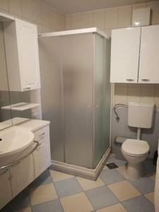 a bathroom with a shower and a toilet and a sink at Snoopy House in Žužemberk