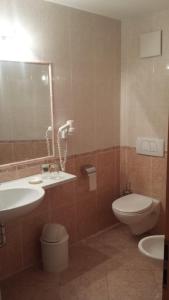 een badkamer met een wastafel, een toilet en een spiegel bij Hotel Garnì Gardena - Appartments in Santa Cristina in Val Gardena