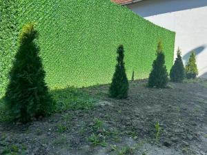 Zahrada ubytování Belle apartmani