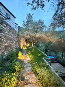 a garden with a stone wall and a tree at Il Giardino di Fe in Sori