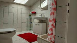 Koupelna v ubytování Apartments Kivi