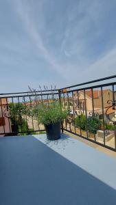 Balkón nebo terasa v ubytování Apartments Kivi
