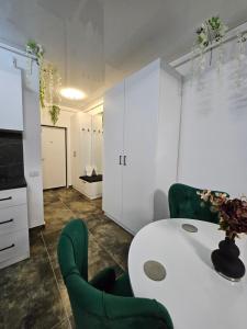 Η κουζίνα ή μικρή κουζίνα στο EverGreen Apartment2