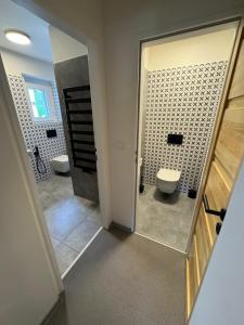 łazienka z toaletą i umywalką w obiekcie Apartmány U Medvěda w mieście Horní Blatná +19 zdjęć