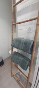 ユリューニュにあるLa Casita de Rose au calme proche plage d'Hendaye - 26 m2 Bien équipé Parking privé Jardinのバスルームにある緑のタオルが3枚掛けられた梯子