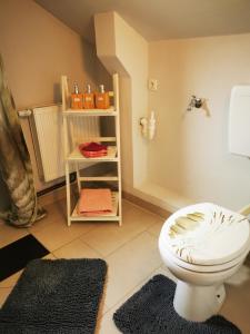 ein Bad mit einem weißen WC in einem Zimmer in der Unterkunft Kleine Auszeit in Amelinghausen