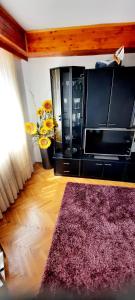 a microwave oven in a living room with a rug at Apartment near the center - Nada in Malinska