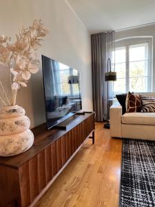 Μια τηλεόραση ή/και κέντρο ψυχαγωγίας στο Ferienwohnung am Elisabethplatz
