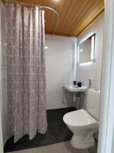 a bathroom with a toilet and a sink at Vuori Camp by Saimaa in Vuoriniemi
