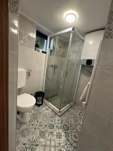 a bathroom with a shower and a toilet at Guszti Apartman in Pécs