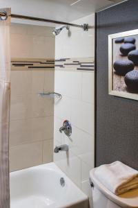 DoubleTree by Hilton Appleton, WI的一间浴室