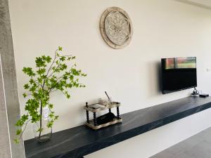 sala de estar con TV y planta en 夏至文旅 Midsummer Guest House en Magong