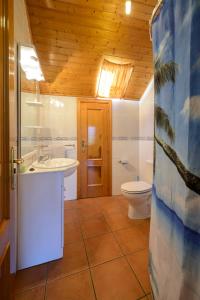 Olás de VillariñoにあるApartamentos Turísticos Casa dos Pulidosの洗面台とトイレ付きのバスルーム