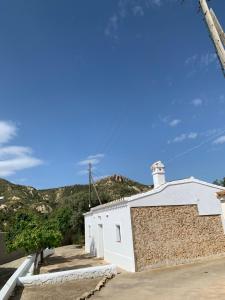 Príroda v okolí of the country house