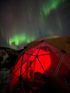 Fotografie z fotogalerie ubytování Northern Light Panorama Evenes v destinaci Tårstad