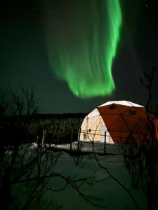 Příroda nedaleko luxury tent