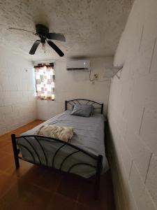Schlafzimmer mit einem Bett und einem Deckenventilator in der Unterkunft Charming 2BD in the heart of Cancun in Cancún