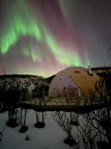 Příroda nedaleko luxury tent