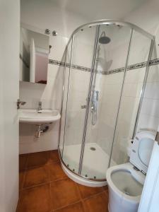 a bathroom with a shower and a toilet and a sink at Chalet con WIFI , PS4 , garaje, 5 dormitorios, 3 baños, Santiago de Compostela in Santiago de Compostela