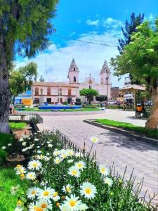 a group of daisies in the middle of a street at Hospedaje Mónaco - Jauja Airport in Jauja