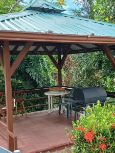 TREEHOUSE PILON PAVONESにある庭