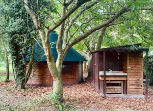 a wooden cabin in the woods with a tree at Starry Meadow in Great Yarmouth