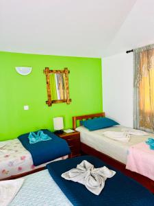 a room with two beds and a green wall at Casa BB&Djassi in Ponta do Sol