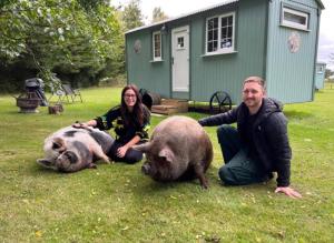 a couple of people posing with two large pigs at Starry Meadow in Great Yarmouth