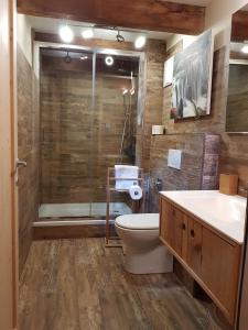 a bathroom with a shower and a toilet and a sink at Die Alte Scheune by Globalimmoservice in Bad Kleinkirchheim +14 photos